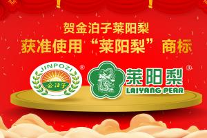 贺金泊子莱阳梨获准使用“莱阳梨”商标
